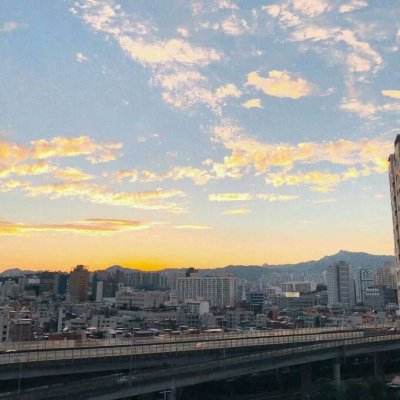 狗狗与他的动物女友内购破解版下载